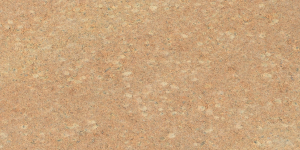 Terrassenplatte Emsland Farbe sandsteinbeige